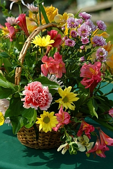 Floral Designer Resume - Should Yours Be Written By A Pro? (photo courtesy FreeFoto.com)